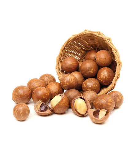 Premium quality macadamia nuts - macadamia,