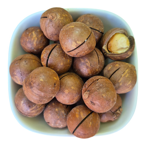 Macadamia nuts shell - in,