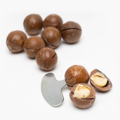 Macadamia nuts 500g in - nuts,