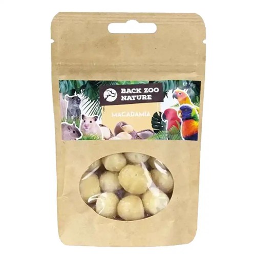 Shelled macadamia nuts parrot - macadamia,