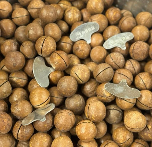 Macadamia nuts snack dried - macadamia,