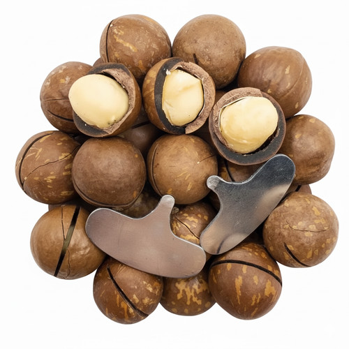 Macadamia nuts shell - nuts,