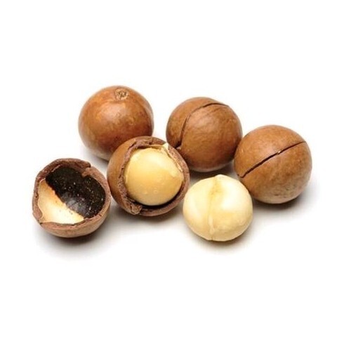 Macadamia nuts shell - in,